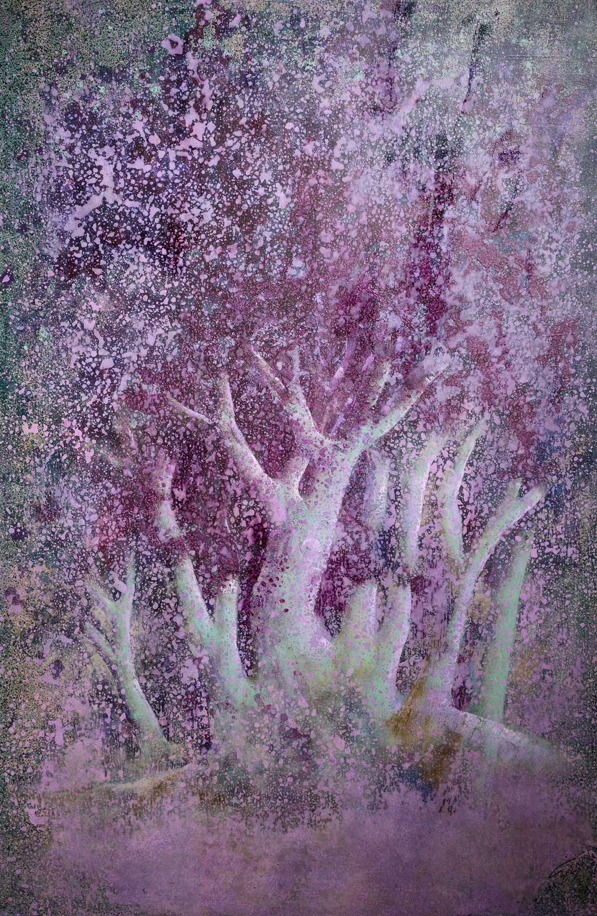unity of judas tree - Large Size