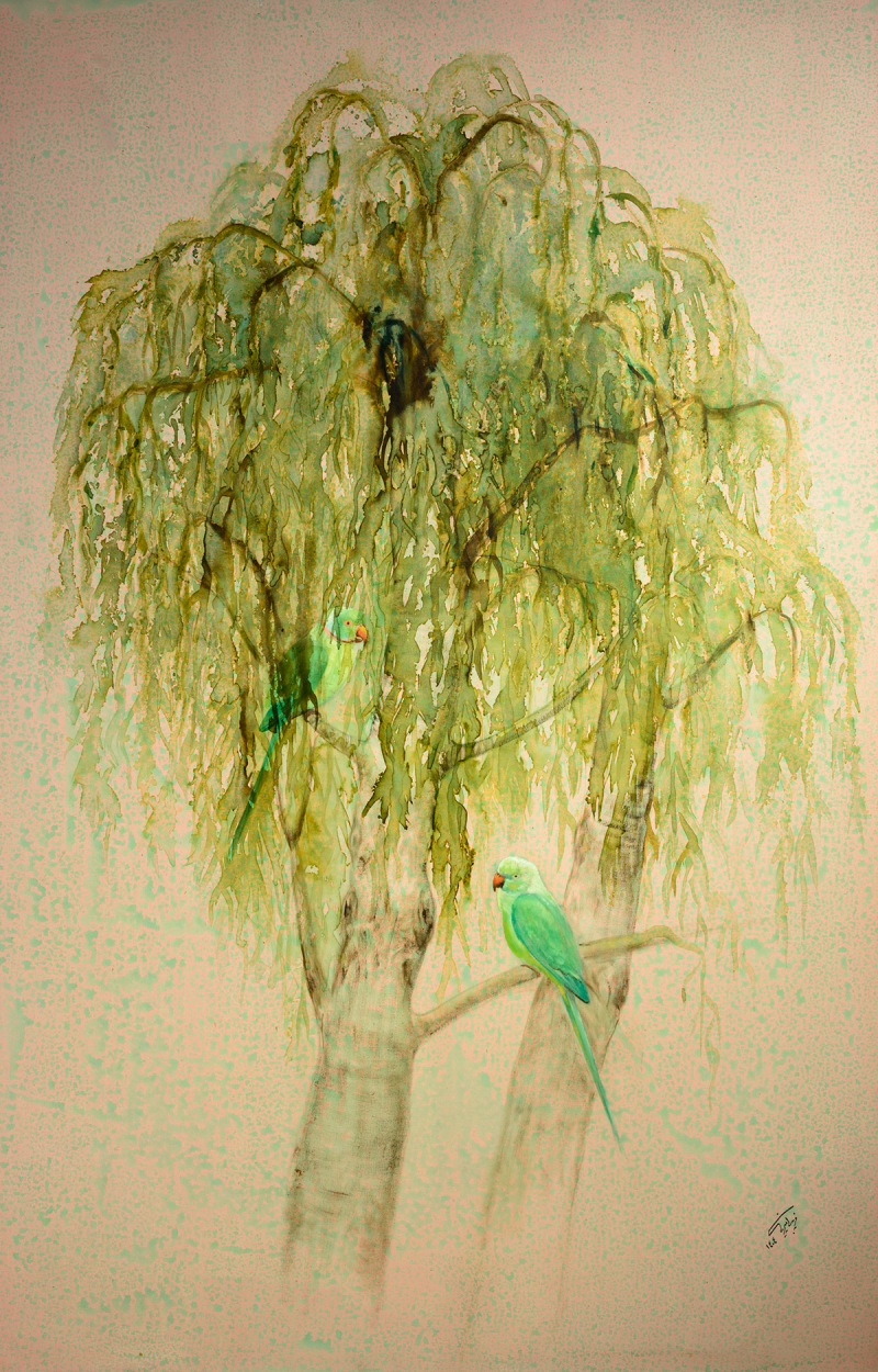 willow tree