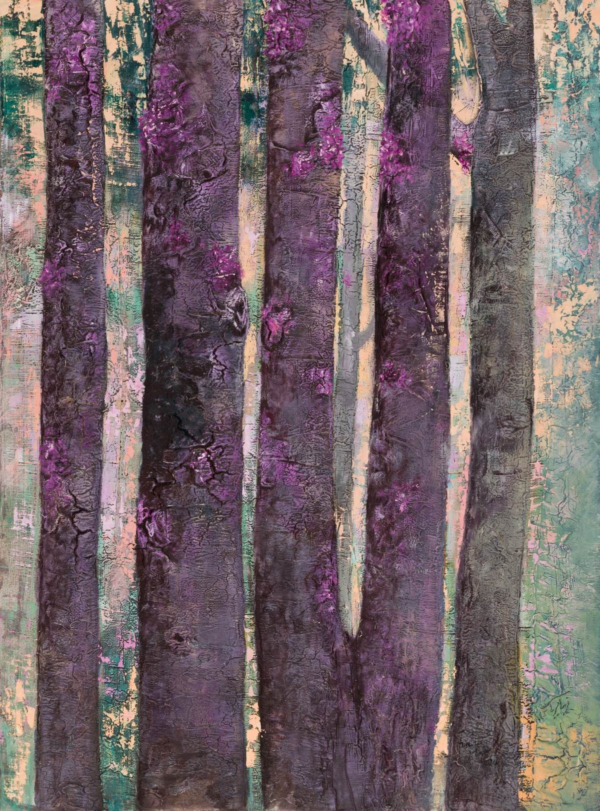 Judas tree .No.2 - Large Size
